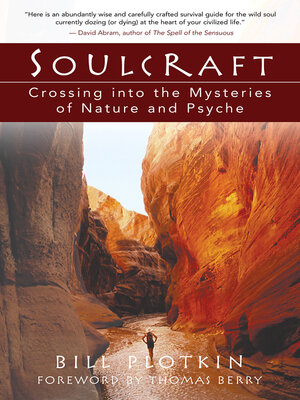 cover image of Soulcraft